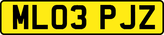 ML03PJZ