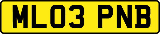 ML03PNB