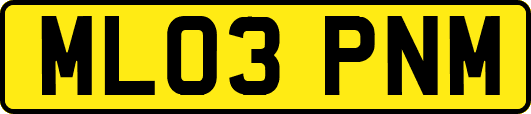 ML03PNM