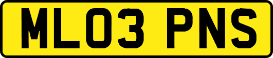 ML03PNS