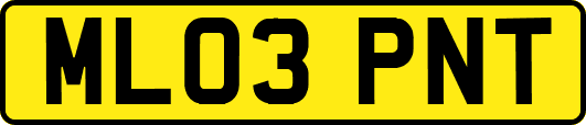 ML03PNT