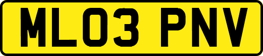 ML03PNV