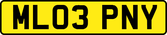ML03PNY