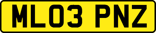 ML03PNZ