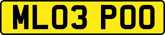 ML03POO