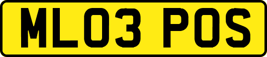 ML03POS