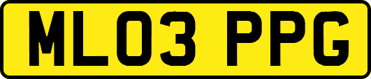 ML03PPG