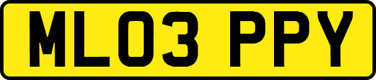 ML03PPY