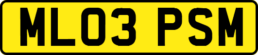 ML03PSM