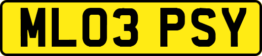 ML03PSY