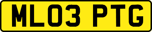 ML03PTG