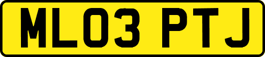 ML03PTJ