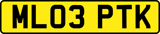 ML03PTK