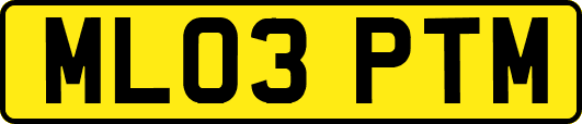 ML03PTM