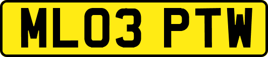 ML03PTW