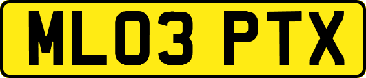 ML03PTX