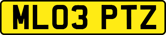 ML03PTZ