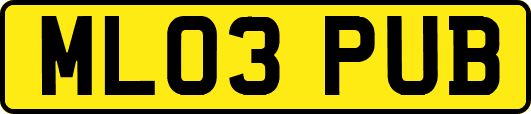 ML03PUB