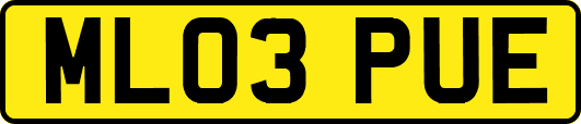 ML03PUE