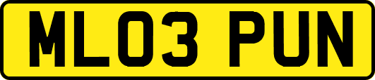ML03PUN