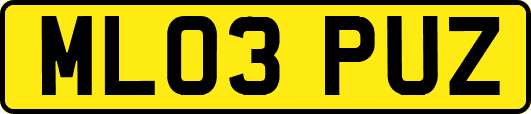 ML03PUZ
