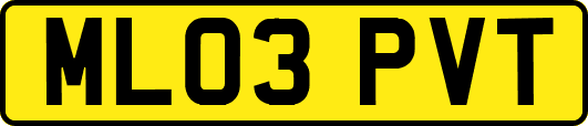 ML03PVT