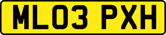 ML03PXH