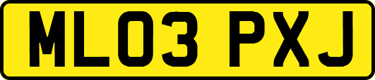 ML03PXJ