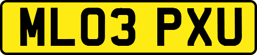 ML03PXU