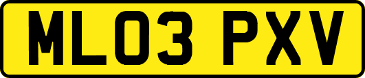ML03PXV