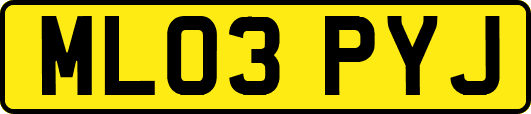 ML03PYJ