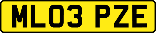 ML03PZE