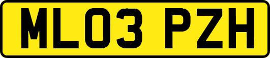 ML03PZH