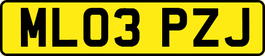 ML03PZJ