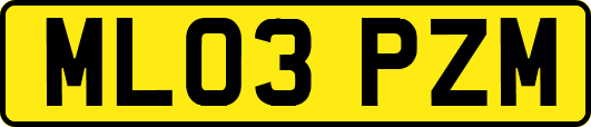 ML03PZM