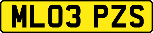 ML03PZS