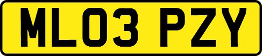 ML03PZY