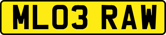 ML03RAW