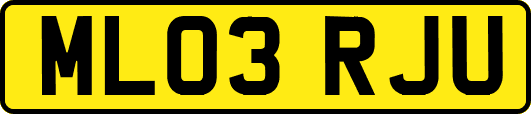 ML03RJU