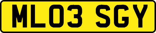 ML03SGY