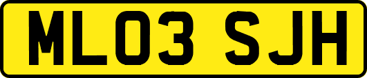 ML03SJH