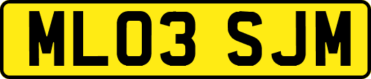ML03SJM