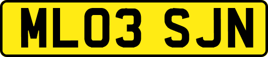 ML03SJN