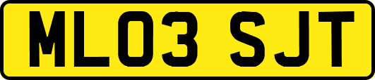 ML03SJT