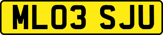 ML03SJU