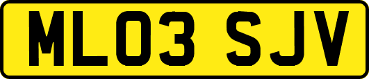 ML03SJV