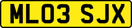 ML03SJX