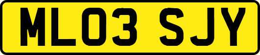 ML03SJY