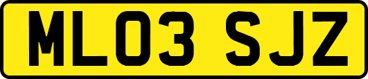 ML03SJZ