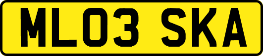 ML03SKA